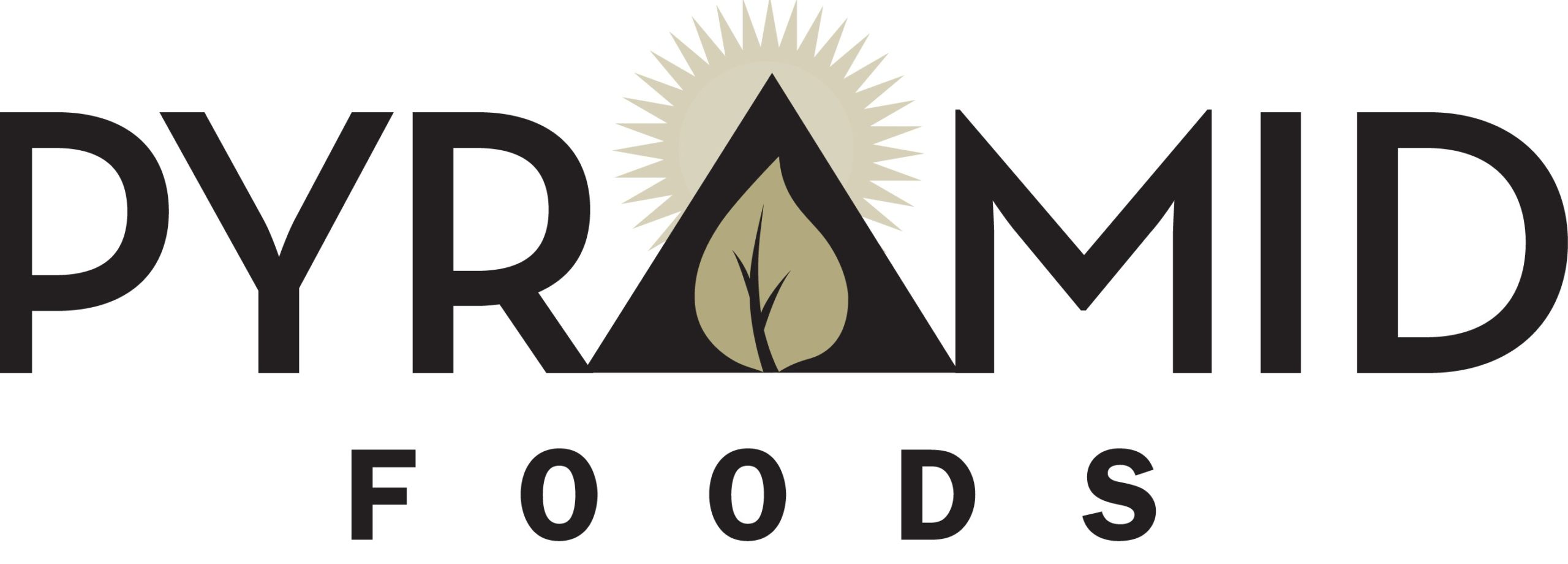 Pyramid Foods Logo